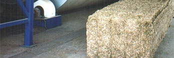 alfalfa deshidratada en pacas o pellets
